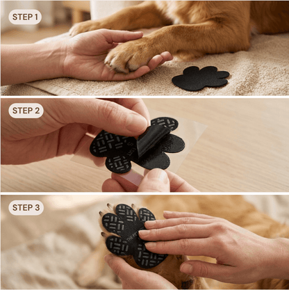 Dog Paw Protector